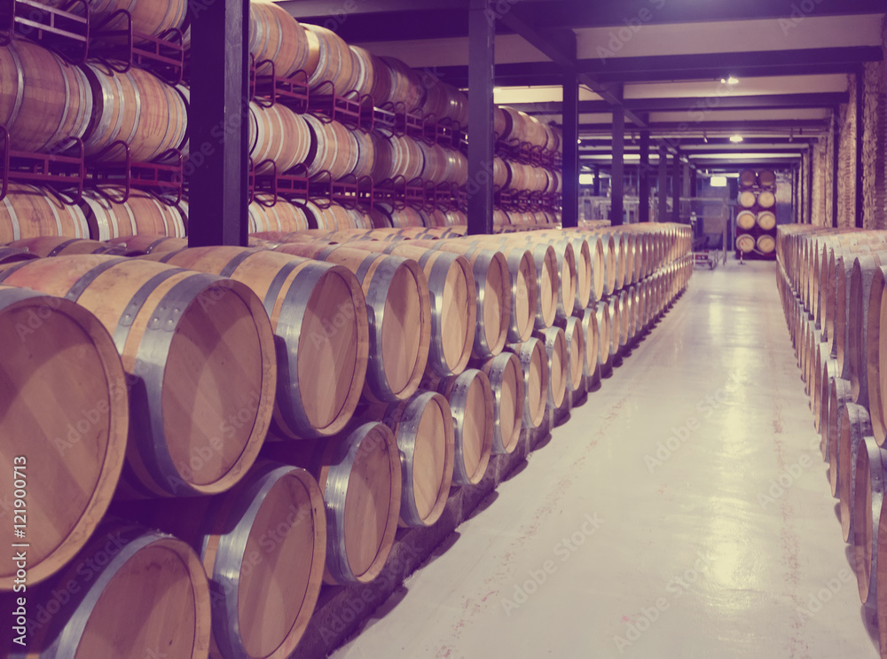 winery  with   wooden barrels