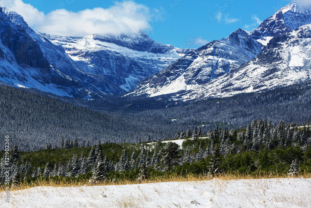 Fototapeta premium Winter in Glacier Park