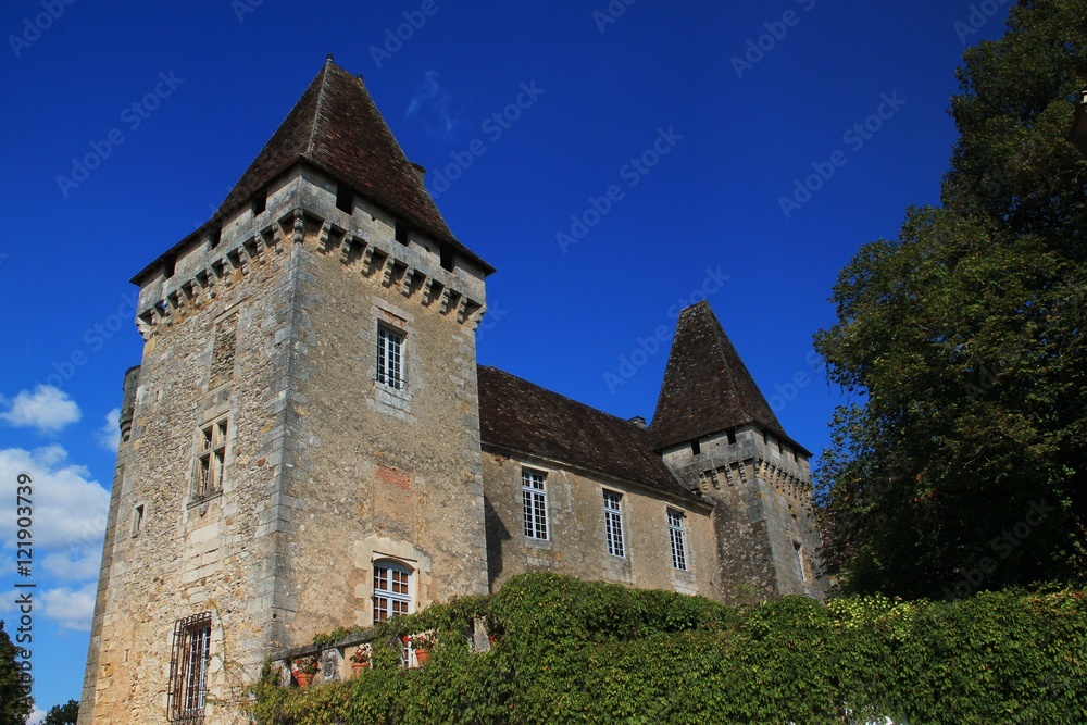 Château de la Marthonie à St jean de Côle.