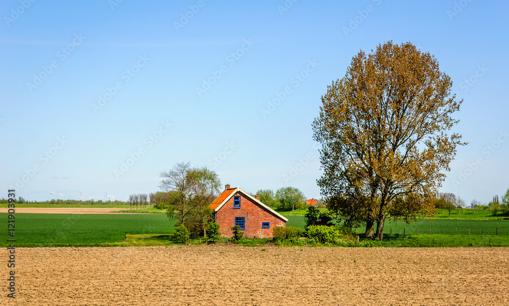 Rural landscape with a plowed field in the spring season