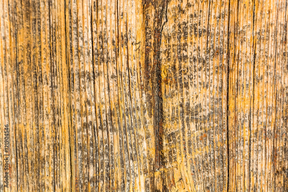 Fototapeta premium dark brown texture background of old wood