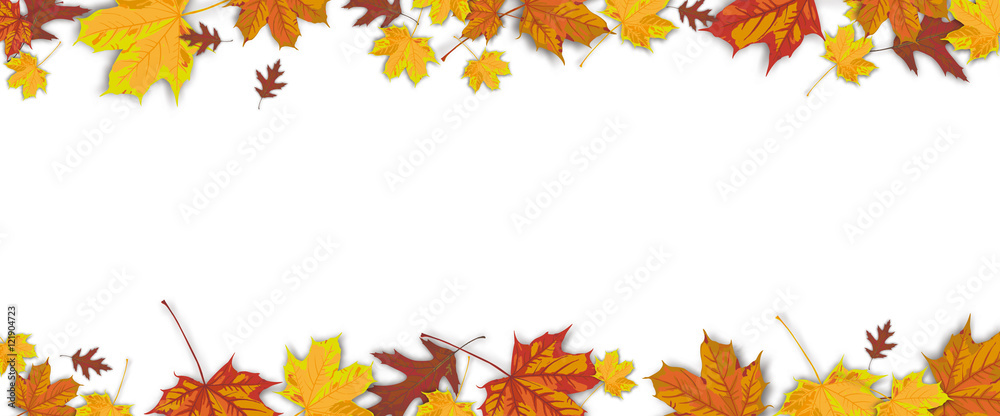 Autumn Foliage White Centre Header