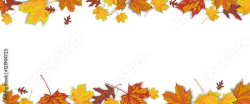 Autumn Foliage White Centre Header