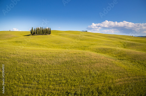 Val d'Orcia, Tuscany, Italy photo