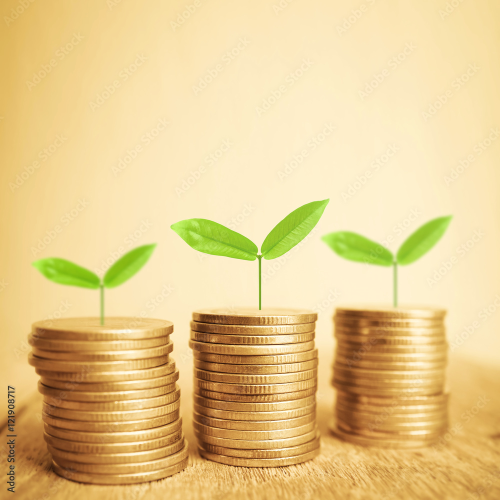 Growing plant on rows of coin money for finance and banking concept
Growing plant on rows of coin money for finance and banking concept