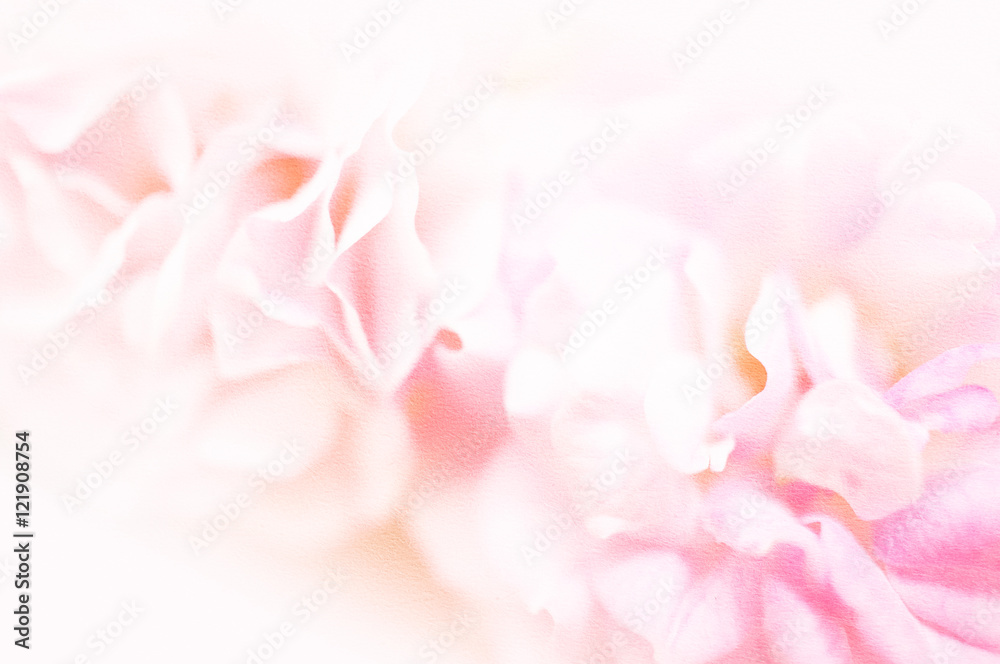 sweet pink roses in soft color on mulberry paper texture for romantic background sweet pink roses in soft color on mulberry paper texture for romantic background