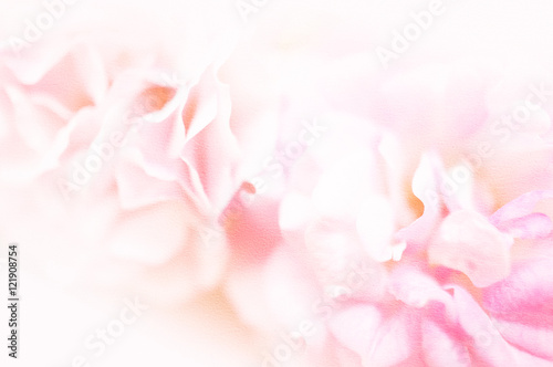 sweet pink roses in soft color on mulberry paper texture for romantic background © number1411