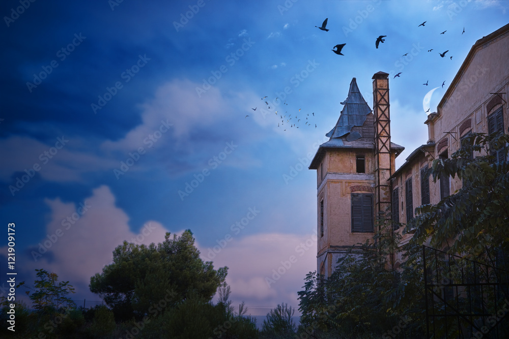 Halloween castle Halloween castle