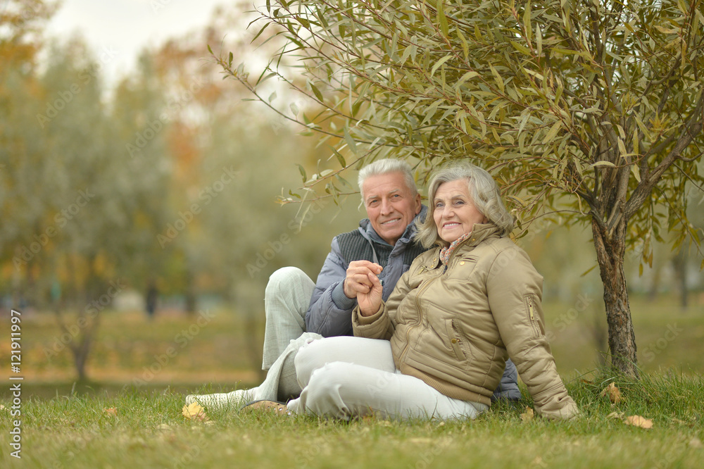 Senior couple in autumn park Senior couple in autumn park