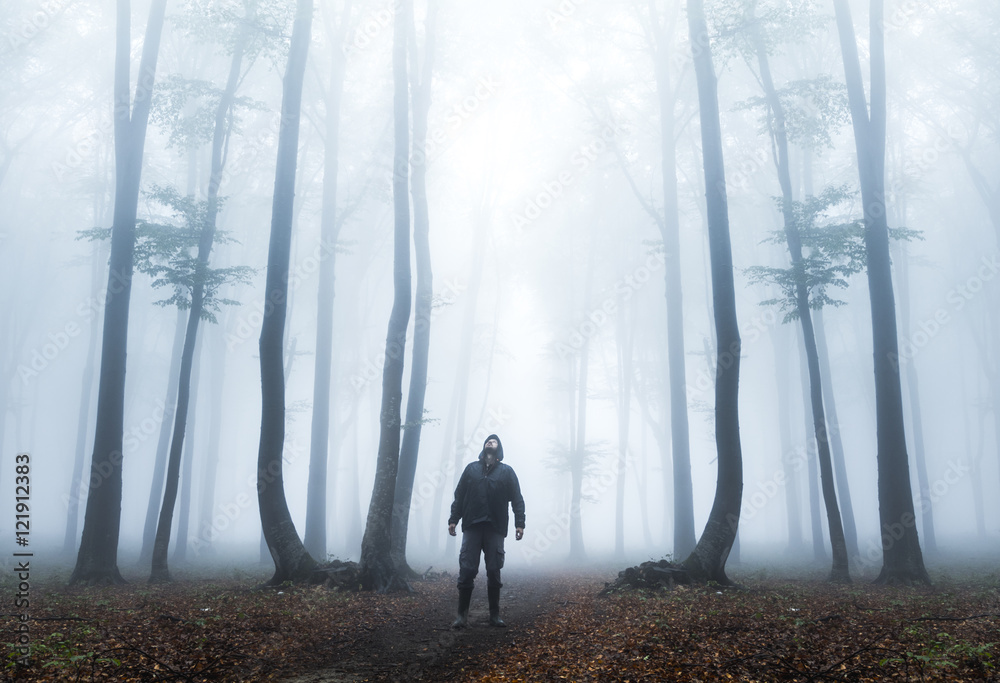 Creepy man in silhouette in misty forest Stock Photo | Adobe Stock