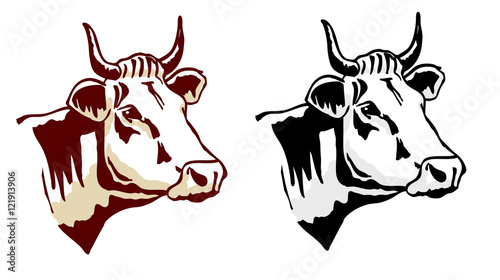 Cow head vector illustration. Two coloring tones.