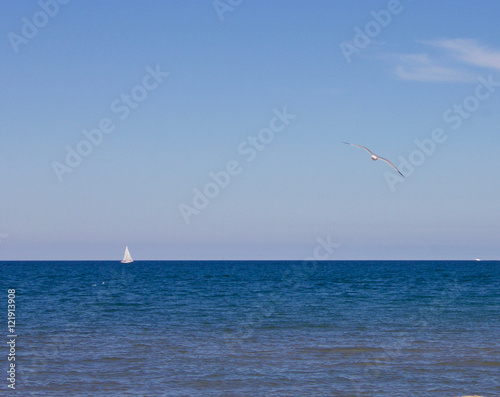 Seagull and sailboat