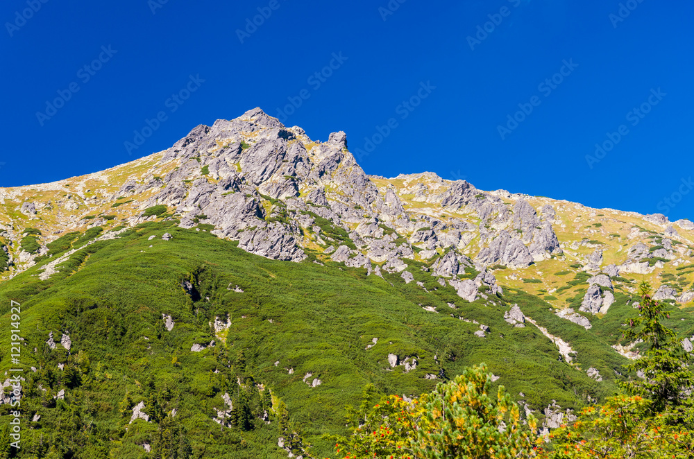 Fototapeta premium Tatry, Morskie Oko