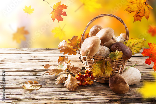Mushroom Boletus on Wooden ...