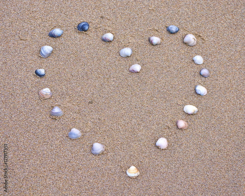 Sea shells arranged in a heart shape