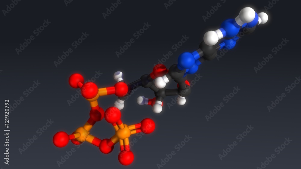 Adenosine triphosphate structure Adenosine triphosphate structure