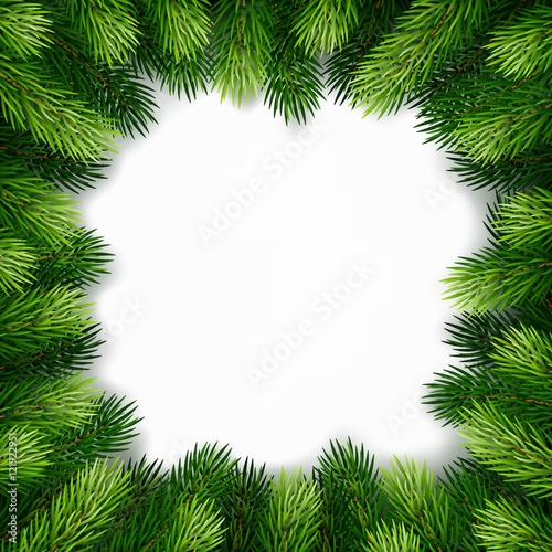 Frame of detailed Christmas tree branches on isolated background