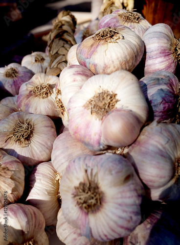 Garlics for sale at local market