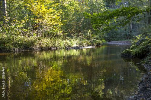 Ein Bach fließt durch den herbstlichen Laubwald