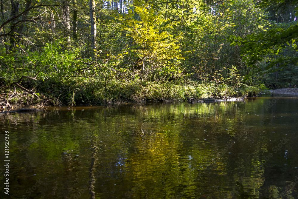 Der Herbstwald spiegelt sich im Wasser eines Bachs Der Herbstwald spiegelt sich im Wasser eines Bachs