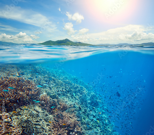 Large coral reef in tropical sea background of island