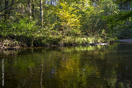 Der Herbstwald spiegelt sich im Wasser eines Bachs