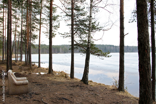 The old armchair in the forest on the Lake Shore