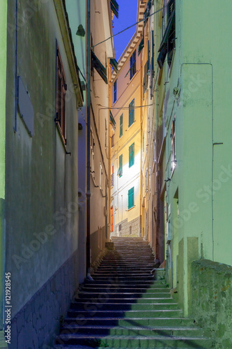 Manarola. Old street at night.