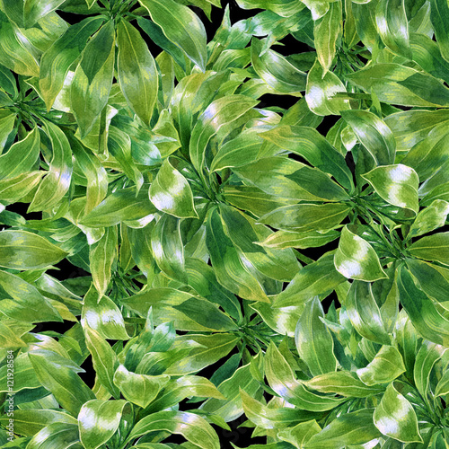Fototapeta Naklejka Na Ścianę i Meble -  Watercolor illustration of leaf, seamless pattern on dark background