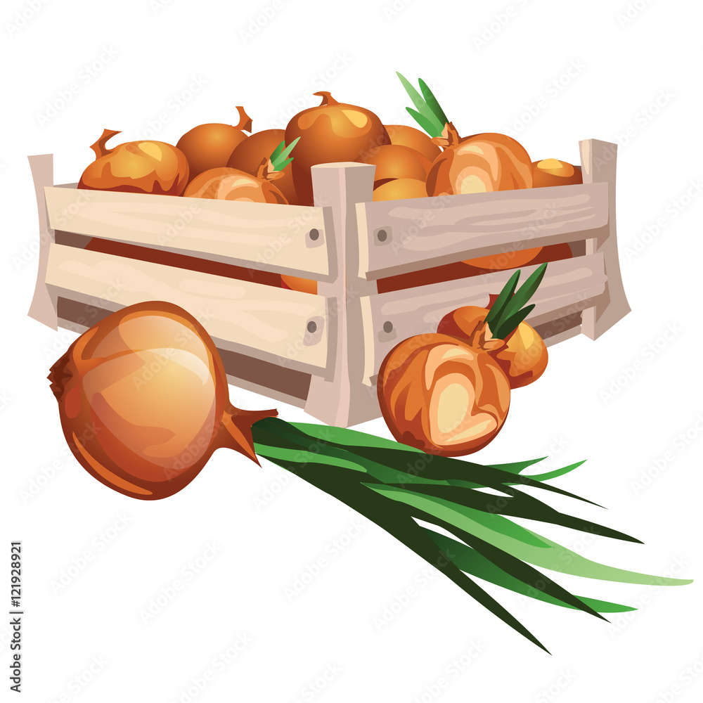 Onion harvest in wooden box