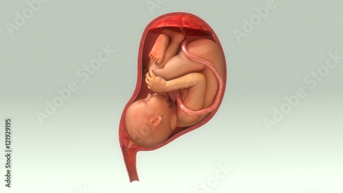 Konstfotografi Baby in Womb