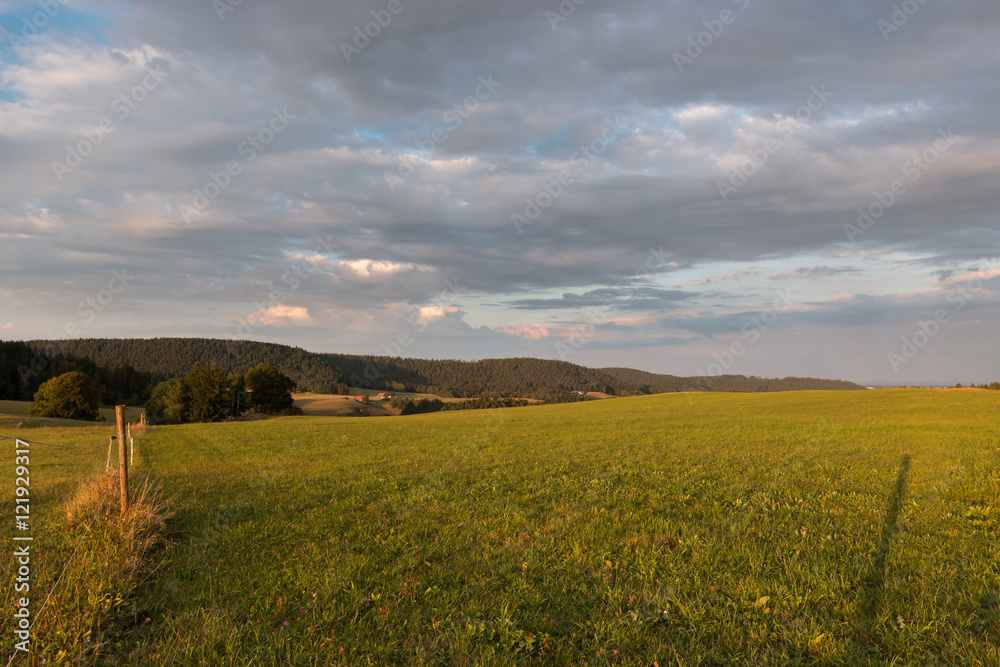 Obraz premium Landschaft Schwarzwald
