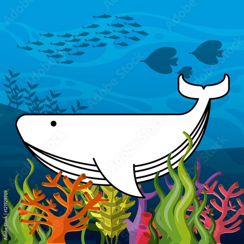 sea life conceptual poster vector illustration design