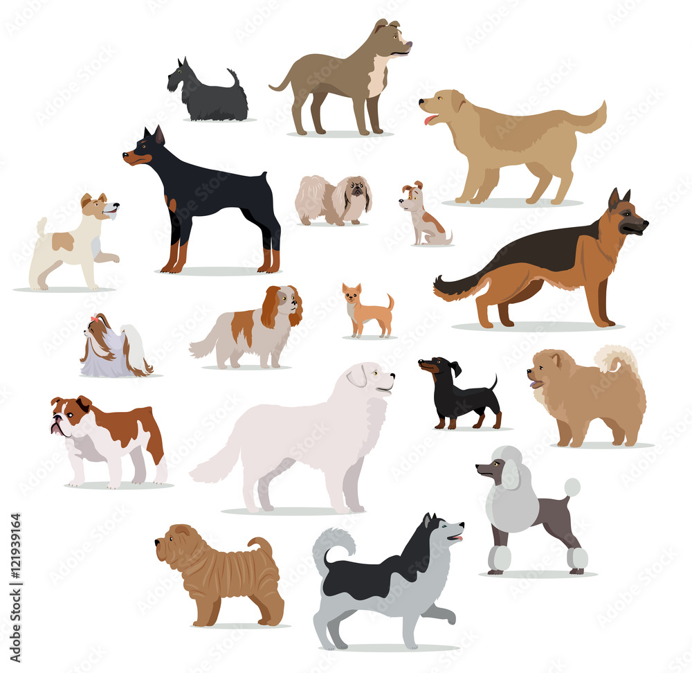 Dogs Breed Set in Cartoon Style Isolated on White.