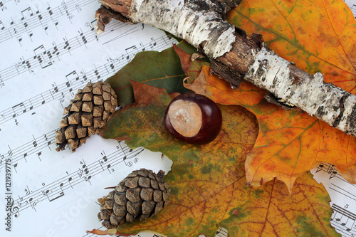 Осень и музыка