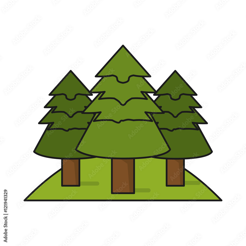 Fototapeta premium Pine trees icon. Plant nature and forest theme. Isolated design. Vector illustration