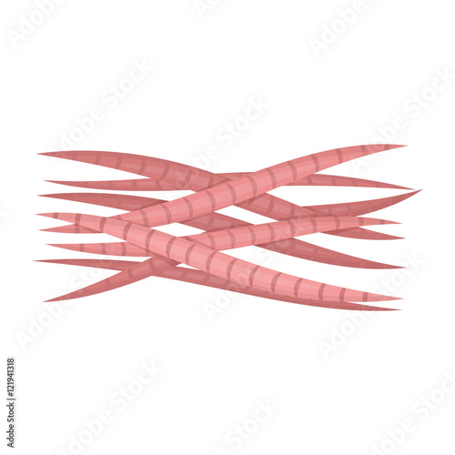 Muscle icon in cartoon style isolated on white background. Organs symbol stock vector illustration.
