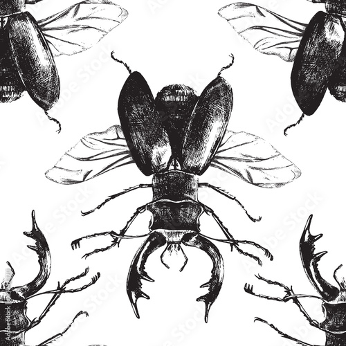seamless pattern with deer beetle