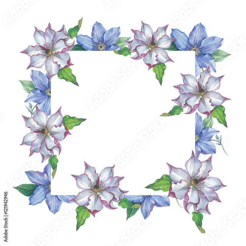 Wildflower clematis flower frame in a watercolor style isolated. Full name of the plant: clematis, wisteria. Aquarelle flower could be used for background, texture, pattern, frame or border. © yanushkov
