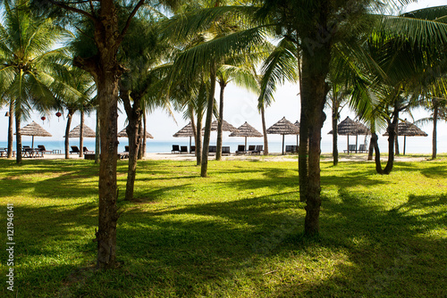 Fototapeta Naklejka Na Ścianę i Meble -  Palm trees against tropical beach with sun beds and umbrellas