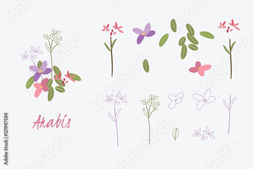 Wallpaper Mural Greeting card Spring arabis flower Torontodigital.ca