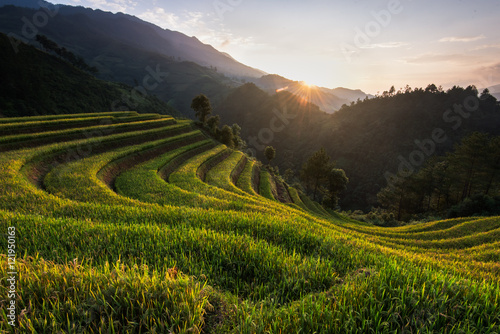 Beautiful landscape rice fields on terraced of Mu Cang Chai © surachetkhamsuk