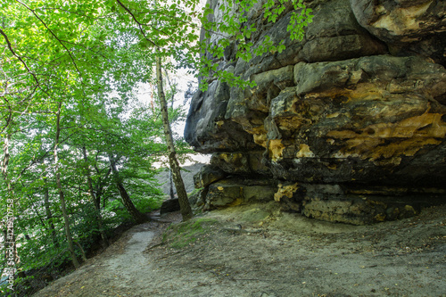 Wanderweg Umgebung Affenstein  Nationalpark S  chsische Schweiz