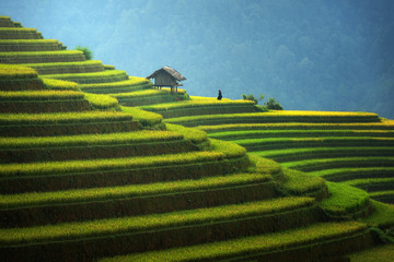 Handdoek met foto Rijstvelden Rijstvelden regenseizoen Mu Cang Chai  © Sasint