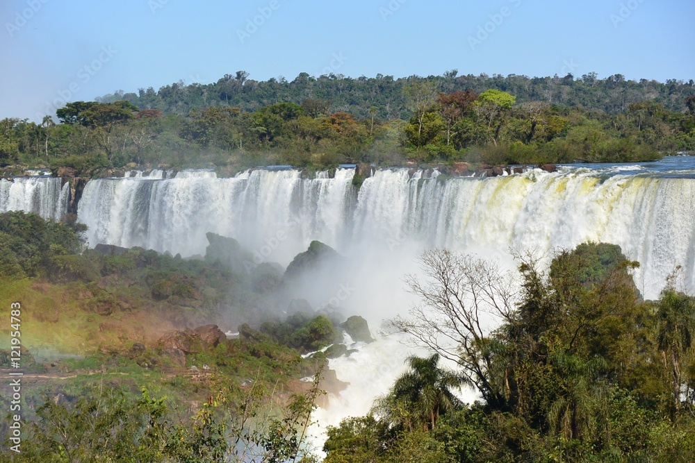 Fototapeta premium iguazu