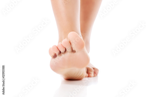 Women's feet on white background.
