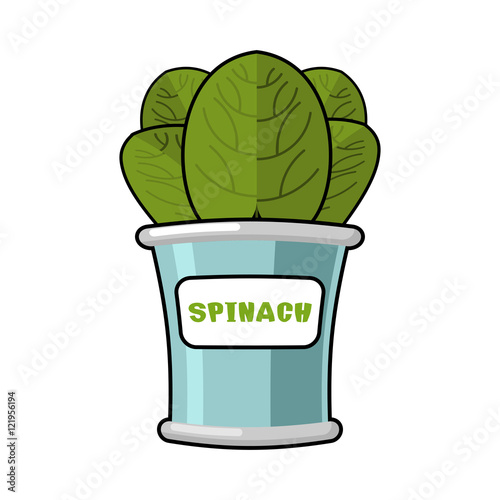 Spinach seamless pattern. Fresh green ornament. Green lettuce te