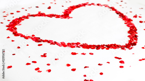 Romantic red rose flowers in heart shape among petals on white background. Wedding, Valentine's Day, love, Mother's Day etc concepts.
