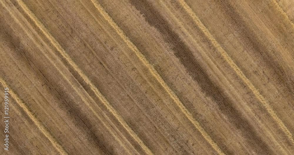 Panning over and looking down onto a striped field after harvest Panning over and looking down onto a striped field after harvest