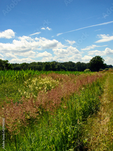 Sommerfelder